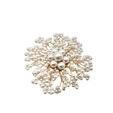 Load image into Gallery viewer, Elegant Pearl Brooch
